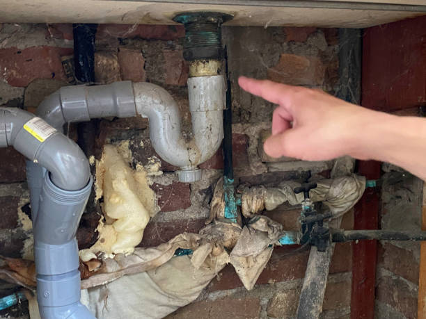 Best Fire Damage Restoration  in New Castle, CO
