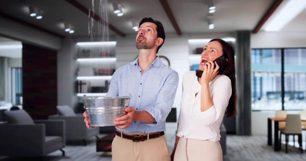 Best Water damage contractors near me  in New Castle, CO