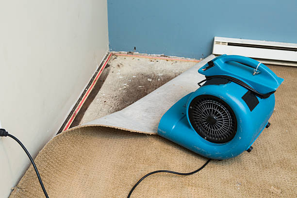 Local water damage restoration in New Castle, CO